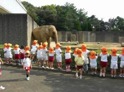 動物園楽しかったよ